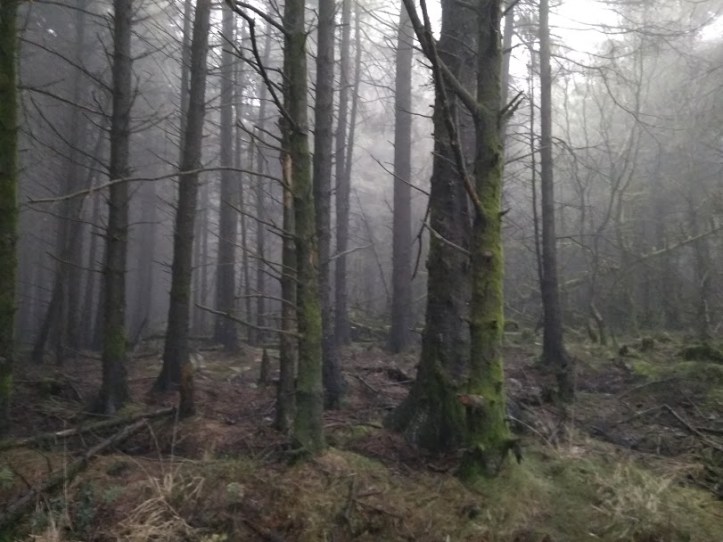 Rebecca Parfitt Forest Ghastling