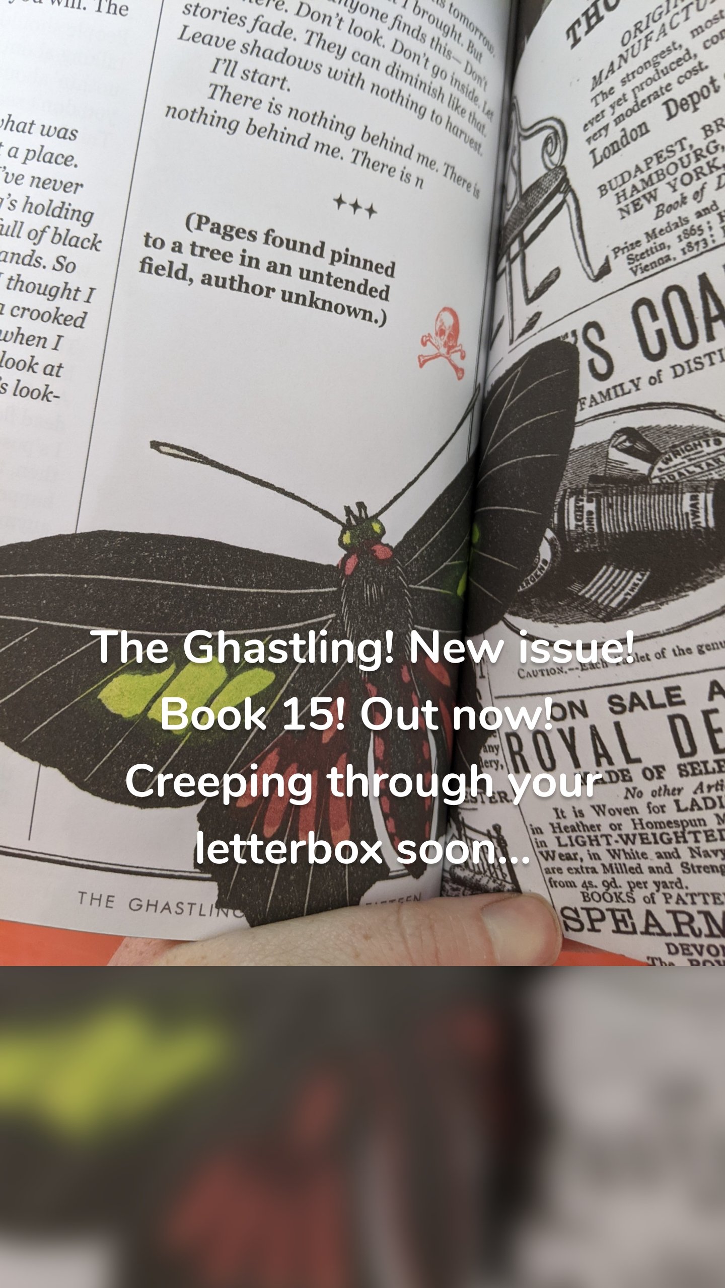 The Ghastling! New issue! Book 15! Out now! 
Creeping through your letterbox soon...